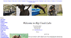 Desktop Screenshot of bigcreeklabs.com